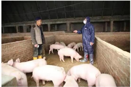 數字人民幣應用保險+期貨.jpg